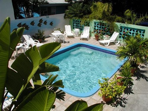 Turquoise Shell Inn Saint-Martin Zewnętrze zdjęcie